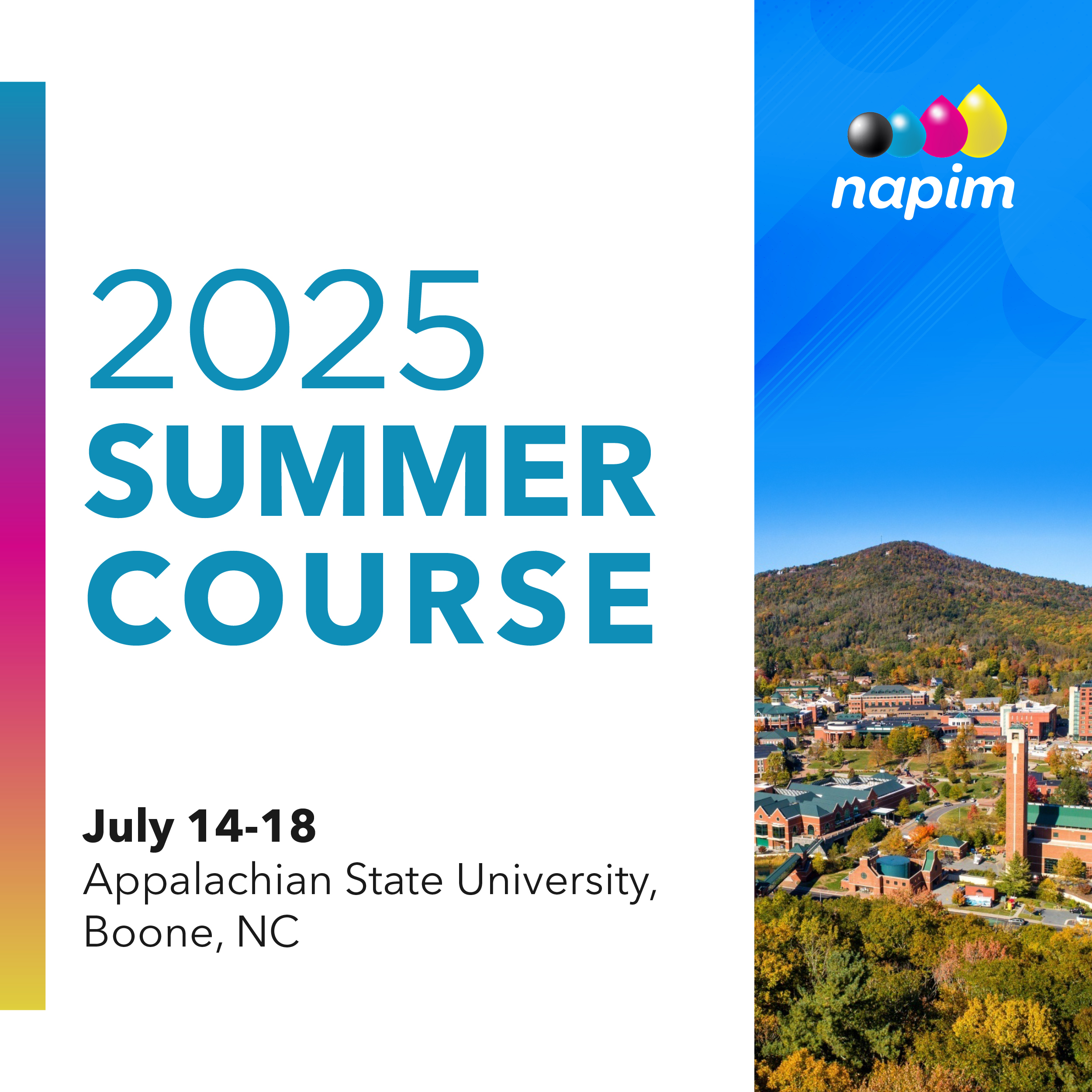 2025 NAPIM Summer Course